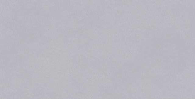 肌膚釉  佛羅倫中灰